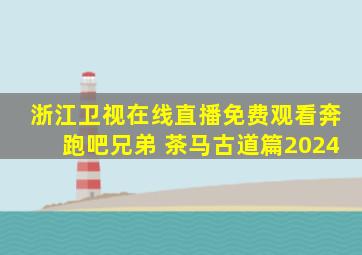 浙江卫视在线直播免费观看奔跑吧兄弟 茶马古道篇2024